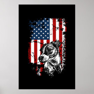 Poster Jack Russell