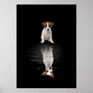Poster Jack Russell Aimer Cute Jack Russell