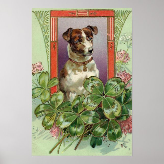 Poster Jack Russell Terrier (Devant)