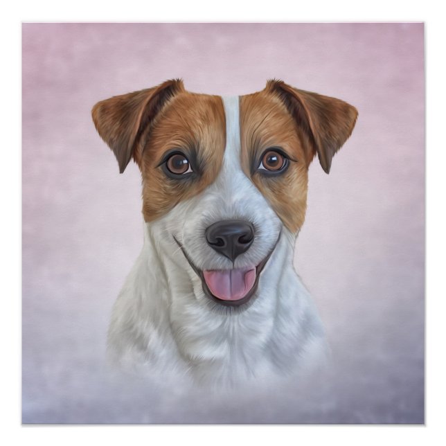 Poster Jack Russell Terrier (Devant)