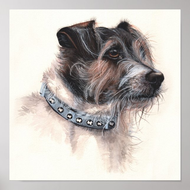 Poster Jack Russell Terrier Peint en aquarelle (Devant)