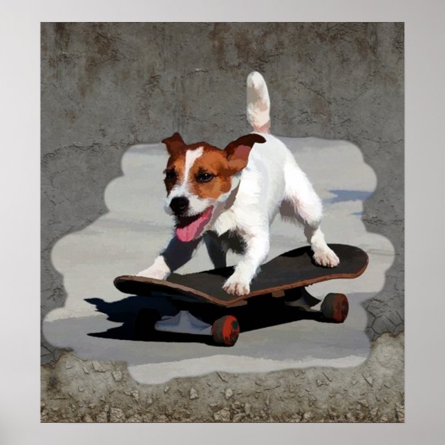 Poster Jack Russell Terrier sur Skateboard (Devant)