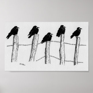 Poster Jackdaws