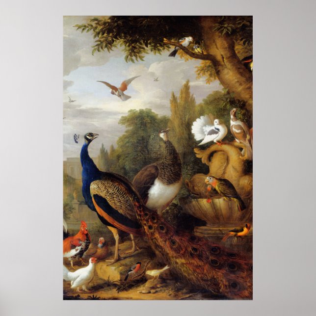 Poster Jacob Bogdani Peacock Peahen Parrots Canari (Devant)