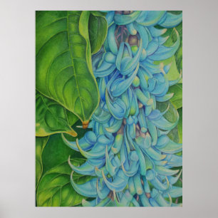 Poster Jade Vine