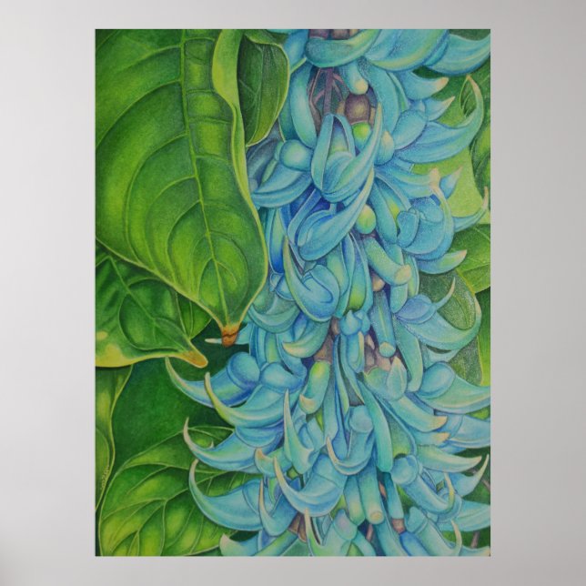 Poster Jade Vine (Devant)