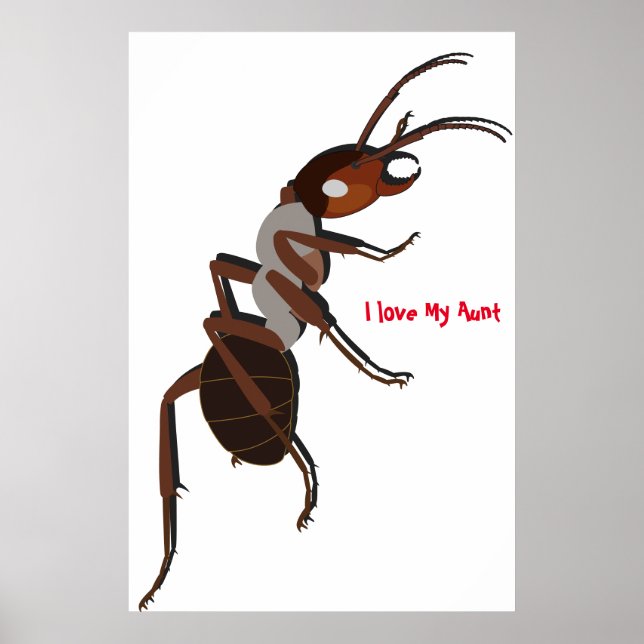 Poster J'adore l'affiche de ma tante (Devant)