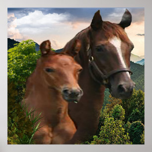 Poster J'adore les chevaux