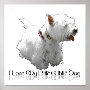 Poster J'adore mon petit chien blanc - Westie