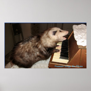 Poster J'affiche d'opossum de perle
