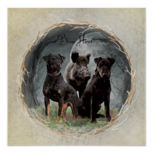 Poster Jagdterrier, courageuse tapisserie cardiaque