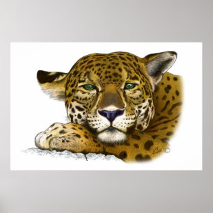 Poster Jaguar a coloré