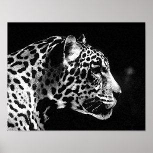 Poster Jaguar Pop Art
