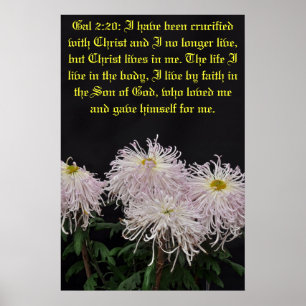 Poster J'ai été crucifié avec le Christ