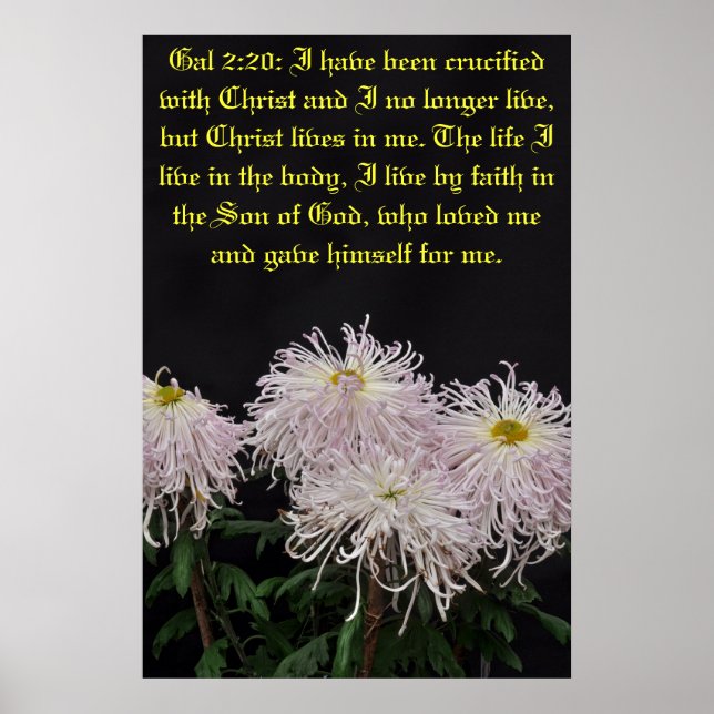 Poster J'ai été crucifié avec le Christ (Devant)