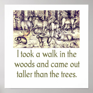 Poster J'Ai Fait Une Promenade Dans Les Bois - Citation