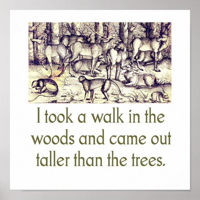 Poster J'Ai Fait Une Promenade Dans Les Bois - Citation (Devant)