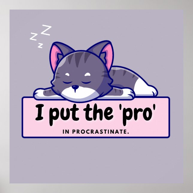 Poster J'ai mis le 'pro' dans : Hilarious Writer's Comic  (Devant)