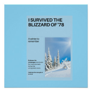 Poster J'ai survécu au Blizzard de '78
