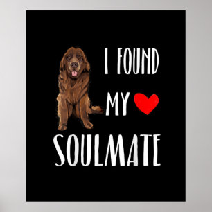 Poster J'Ai Trouvé Mon Âne Amoureux des chiens Terre-Neuv