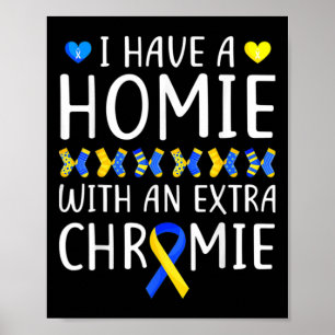 Poster J'Ai Une Maison Avec Un Syndrome De Chromie Supplé
