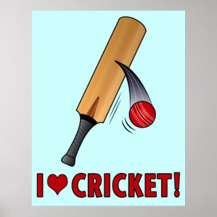 Poster J'aime chauve-souris et balle de cricket