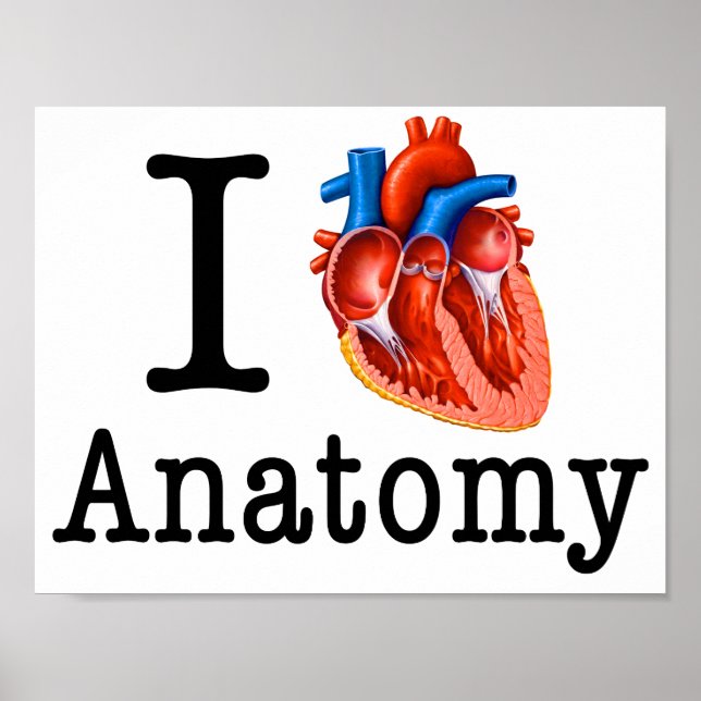Poster J'aime l'anatomie (Devant)