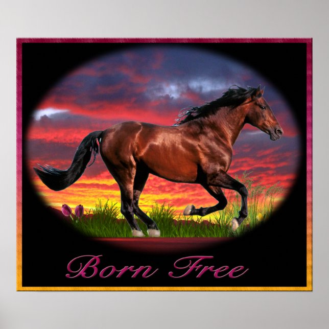 Poster J'aime les chevaux (Devant)
