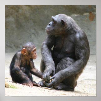 Poster J'aime ma mère