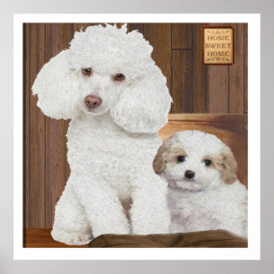Poster J'aime mon caniche