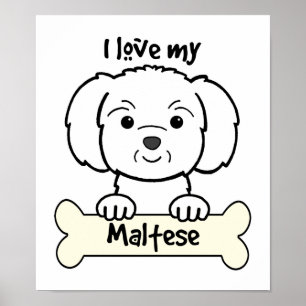 Poster J'Aime Mon Maltais