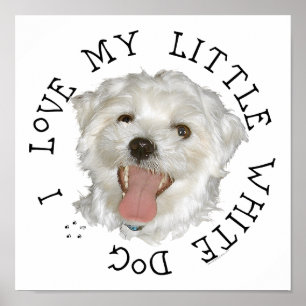 Poster J'Aime Mon Petit Chien Blanc Maltais