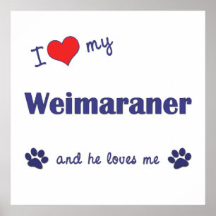 Poster J'Aime Mon Weimaraner (Chien Homme)