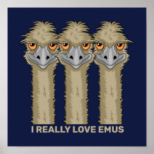 Poster J'aime vraiment les émeus