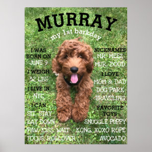 Poster Jalon personnalisé BARKday Chien Anniversaire de l