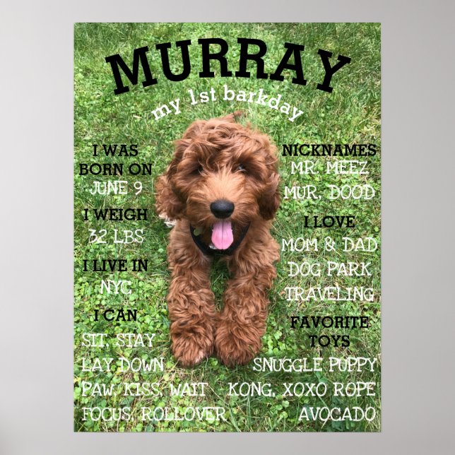 Poster Jalon personnalisé BARKday Chien Anniversaire de l (Devant)