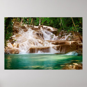 Poster Jamaïque Cascades de la rivière Dunn