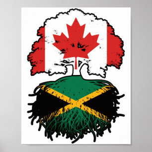 Poster Jamaïque Jamaïcaine Canadian Canada Tree Roots Dra