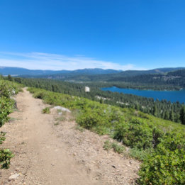 Poster Jamais ! Peut-être.