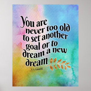 Poster Jamais trop vieux pour rêver