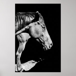 Poster jambe de cheval