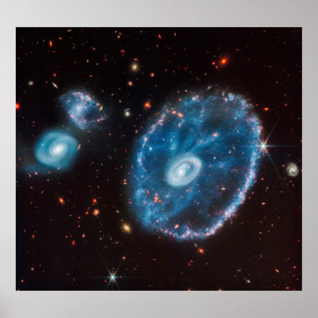 Poster James Webb Cartwheel Galaxy (NIRCam seulement) (Devant)