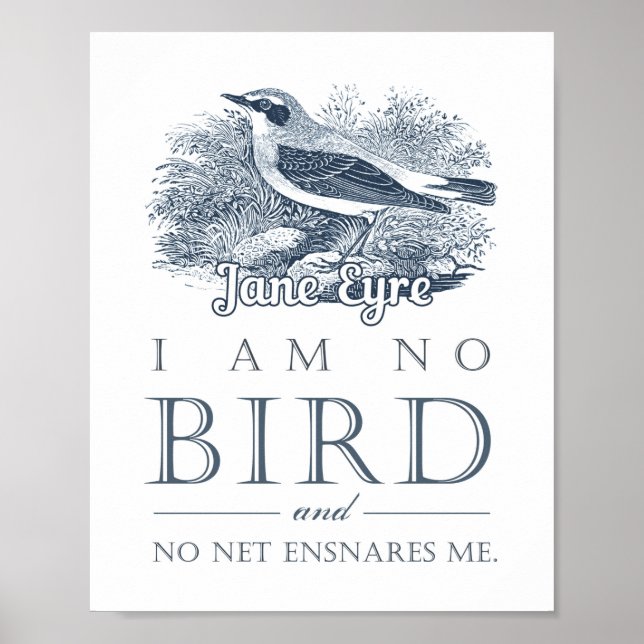 Poster Jane Eyre - Je Ne Suis Pas Un Oiseau - Oiseau Vint (Devant)