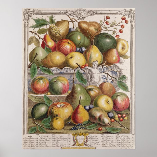 Poster Janvier, "Douze mois de fruits" (Devant)