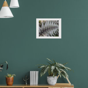 Poster Japanese Painted Fern Floral Photographic