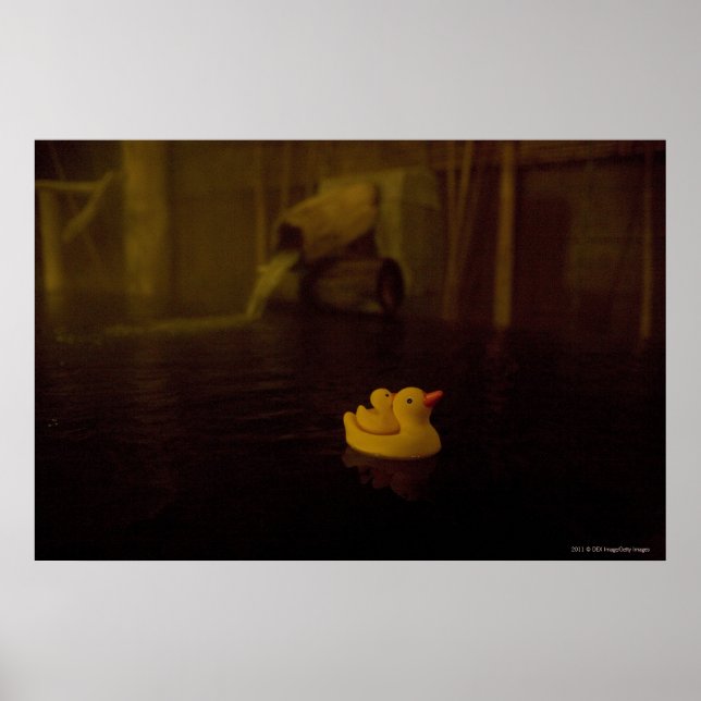 Poster Japon (Devant)