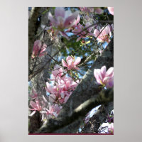 Poster japonais Magnolia -24x36 -autres tailles au