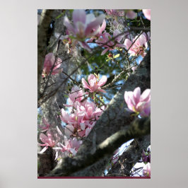 Poster japonais Magnolia -24x36 -autres tailles au
