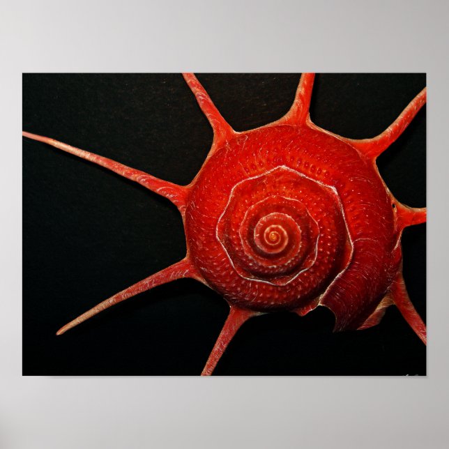 Poster japonais Star Shell (Devant)