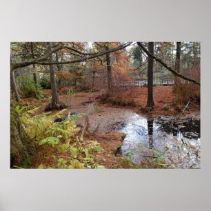 Poster jardin automne arbres et étang d'eau scène plante.